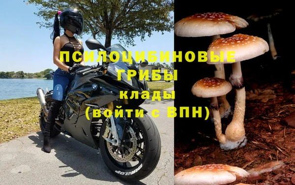 дмт Кулебаки