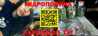 тгк Будённовск