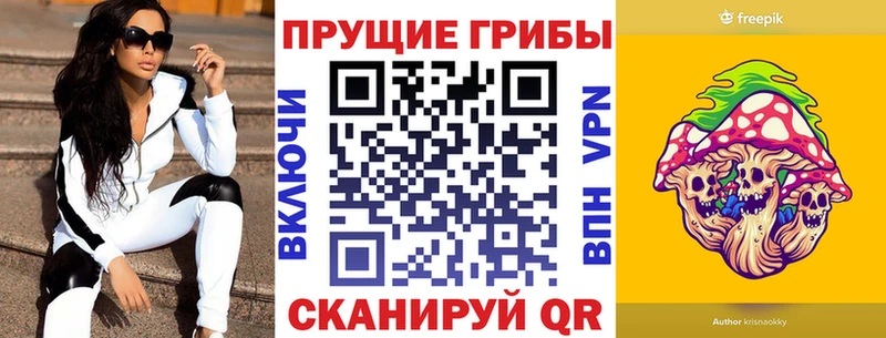 Галлюциногенные грибы Psilocybe  Кострома 