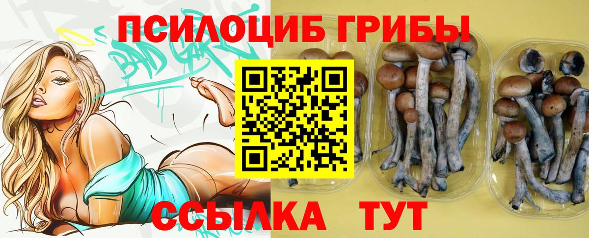 Псилоцибиновые грибы мухоморы Кострома