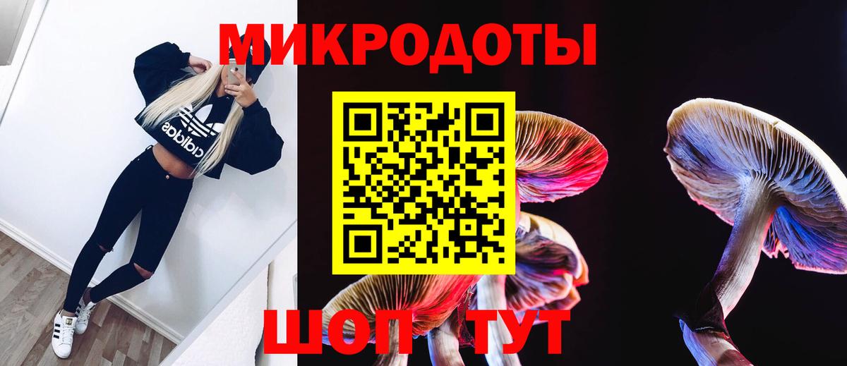 купить закладку  Псилоцибиновые грибы MAGIC MUSHROOMS  Вход с VPN  Кострома 
