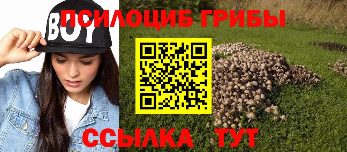 Кострома  Гашиш  Гашиш  Кокаин  Меф МЯУ МЯУ кристаллы  Мефедрон кристаллы  Наркошоп  Марихуана  АМФ кристаллы 